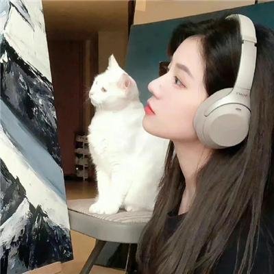 九个完美陌生人第二季